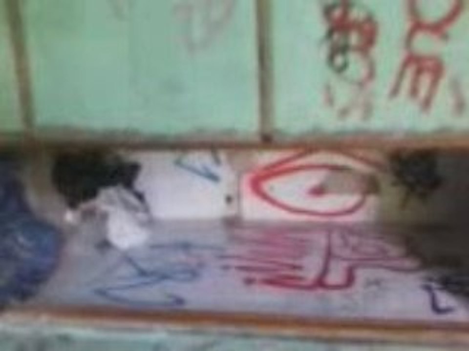 graff + visite dans une maison abandonne