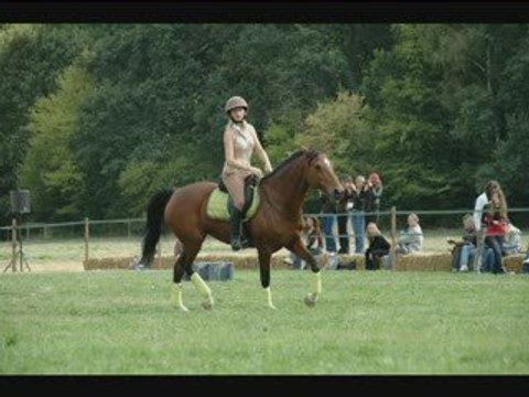 Rdv éthologiques Haras de la Cense 2009