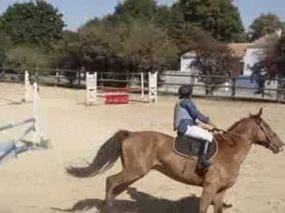 CSO St Sauveur 13/09/09