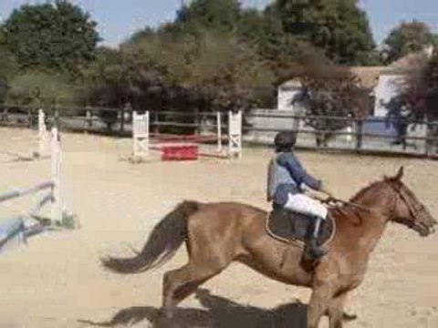 CSO St Sauveur 13/09/09