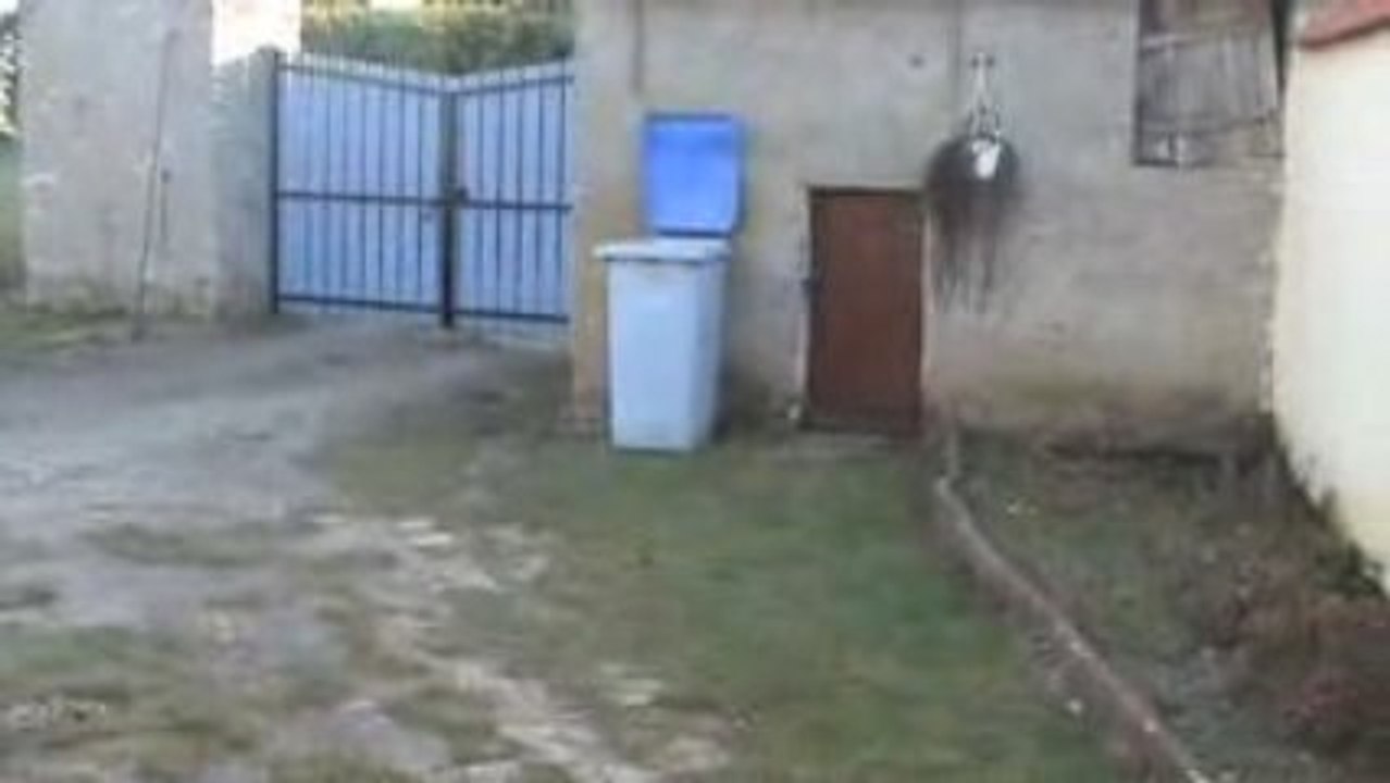 GABIN D ORLU