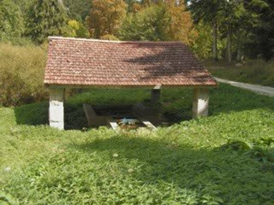 la forêt de Belesta