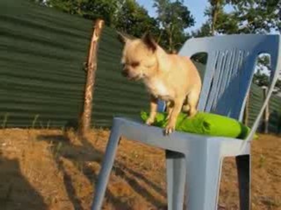 kiki montre comment etre libre