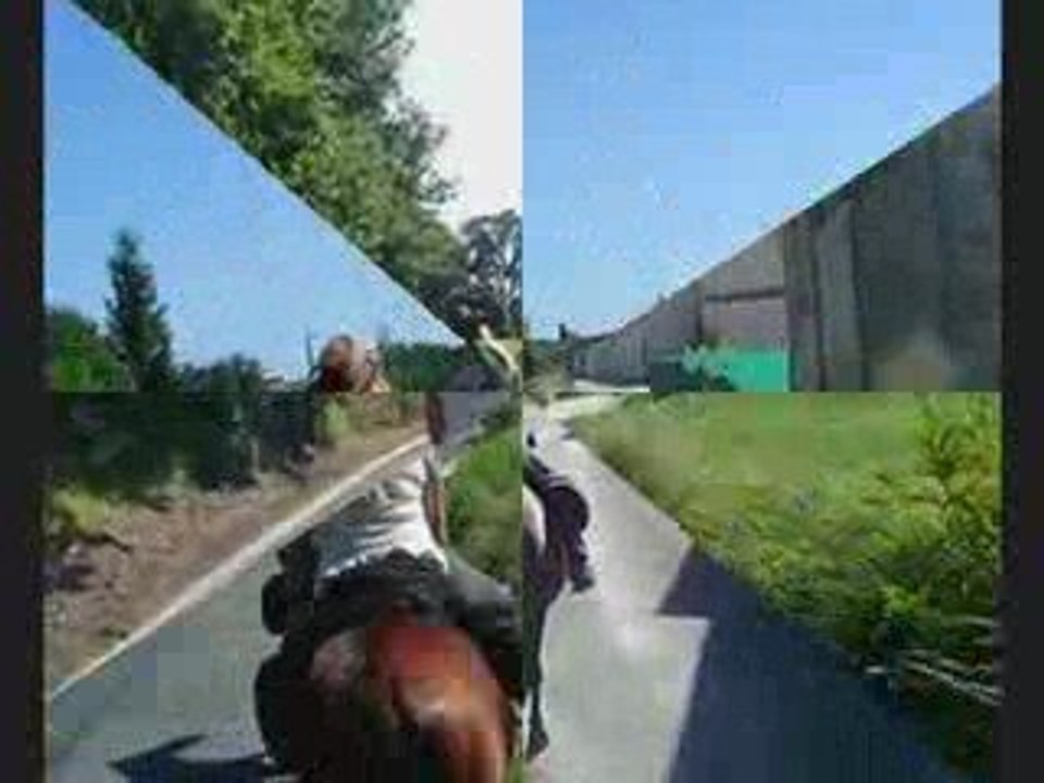2° journée Equigionde