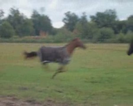 Pepsi pète les plombs