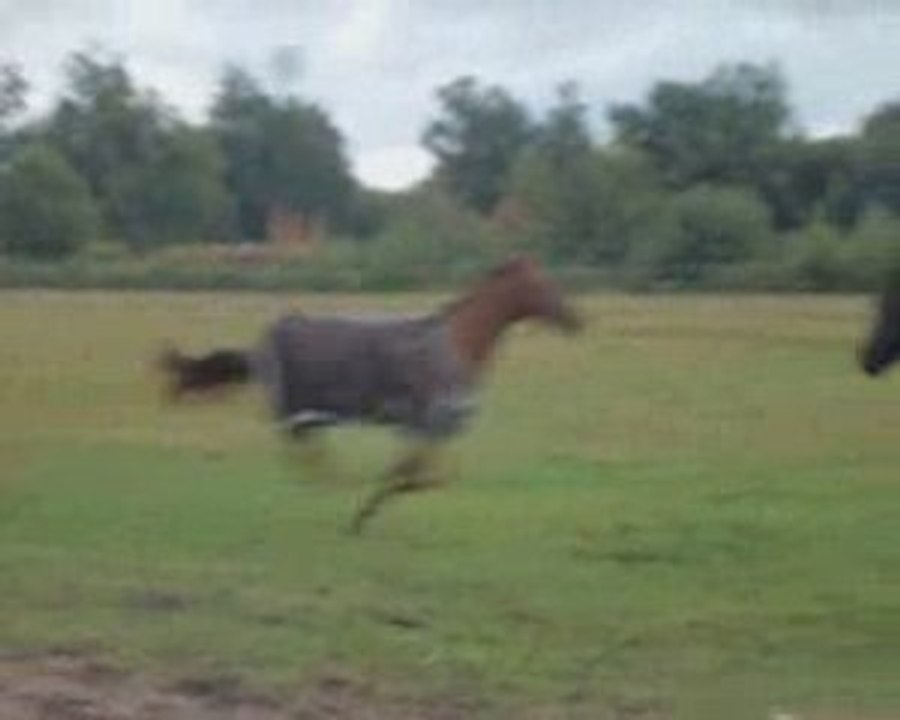 Pepsi pète les plombs