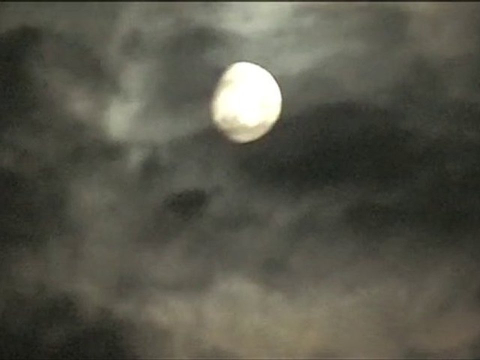 moonlight
