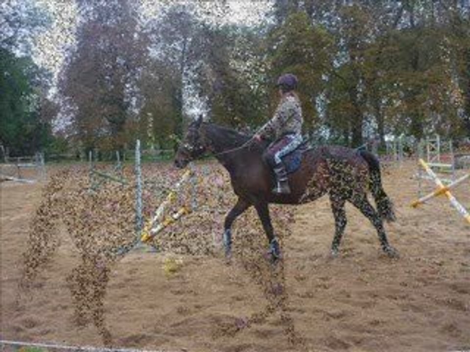 seance de saut avec kalia<3