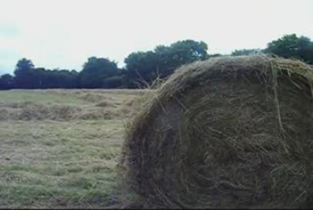 le pressage du foin 2009 par vidéoagri50