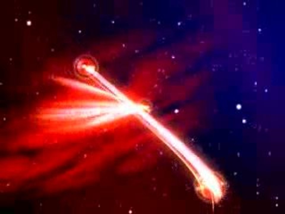 Logo Shiba Inu Production