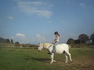 Fidjy , ponette de ma vie ♥