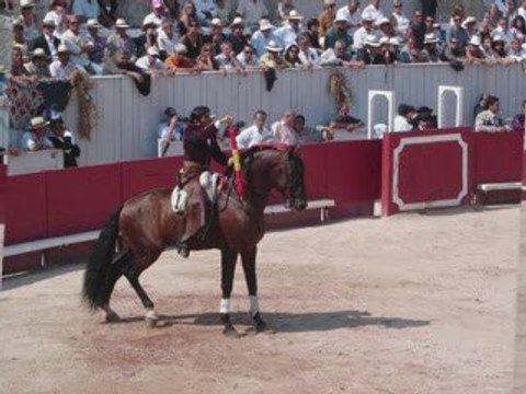 Feria du Riz Arles 2009 Rejoenador Mendoza - Moura - Ventura