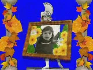 Моя реклама