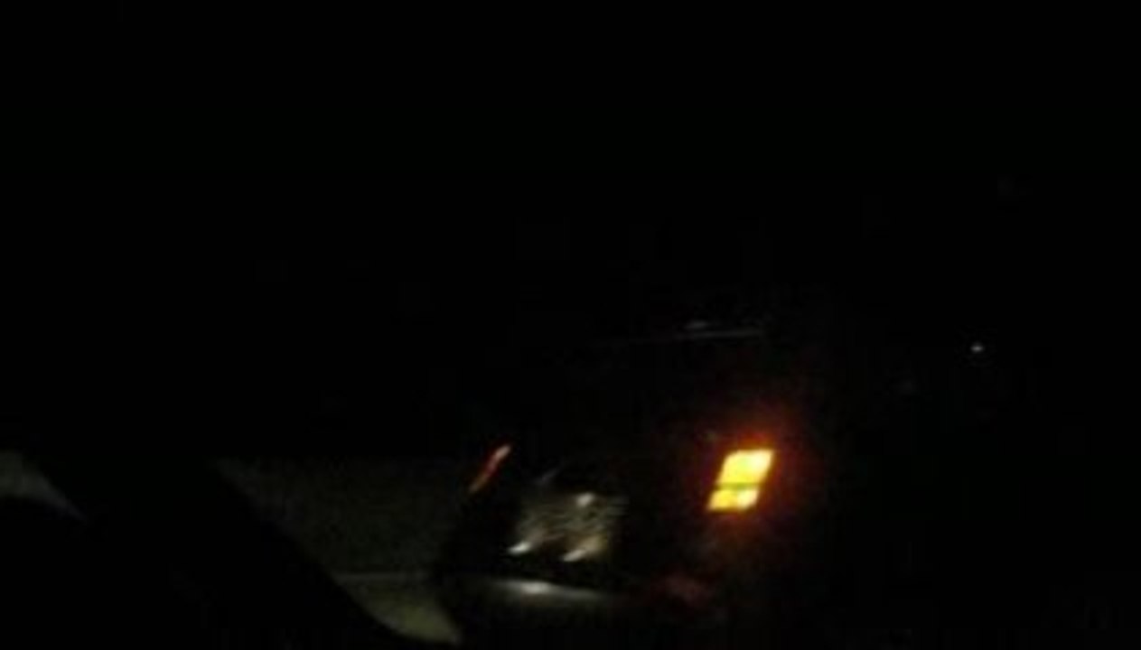 GT turbo vs 205 gti vs Rover gti 1.6 16s