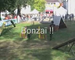 Agi - Foire aux haricots 09 - Cédric et Drago