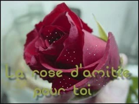 la beautée des fleurs