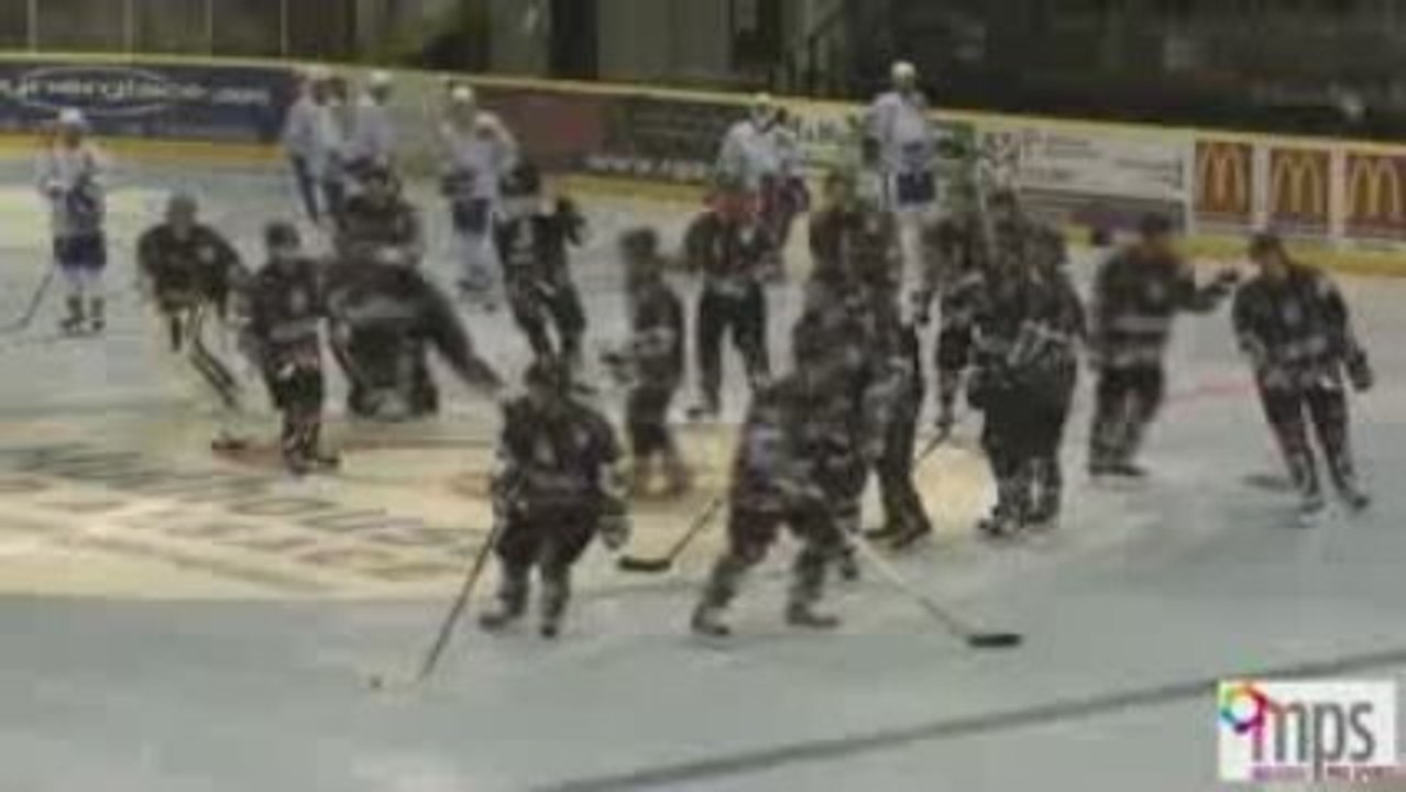 Mulhouse Pro Sports Scorpions Mulhouse vs Vipers Montpellier