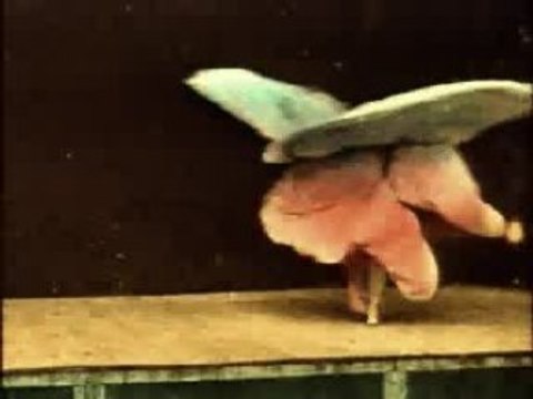 Cinéma des frères Lumières - Danseuse coloree