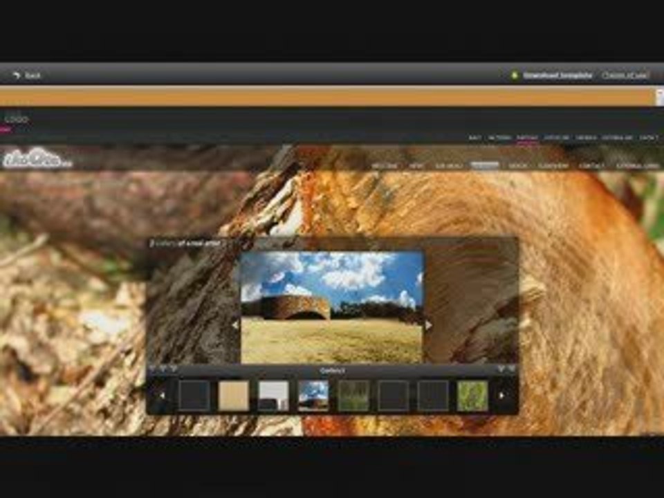 bluweb.site@gmail.com