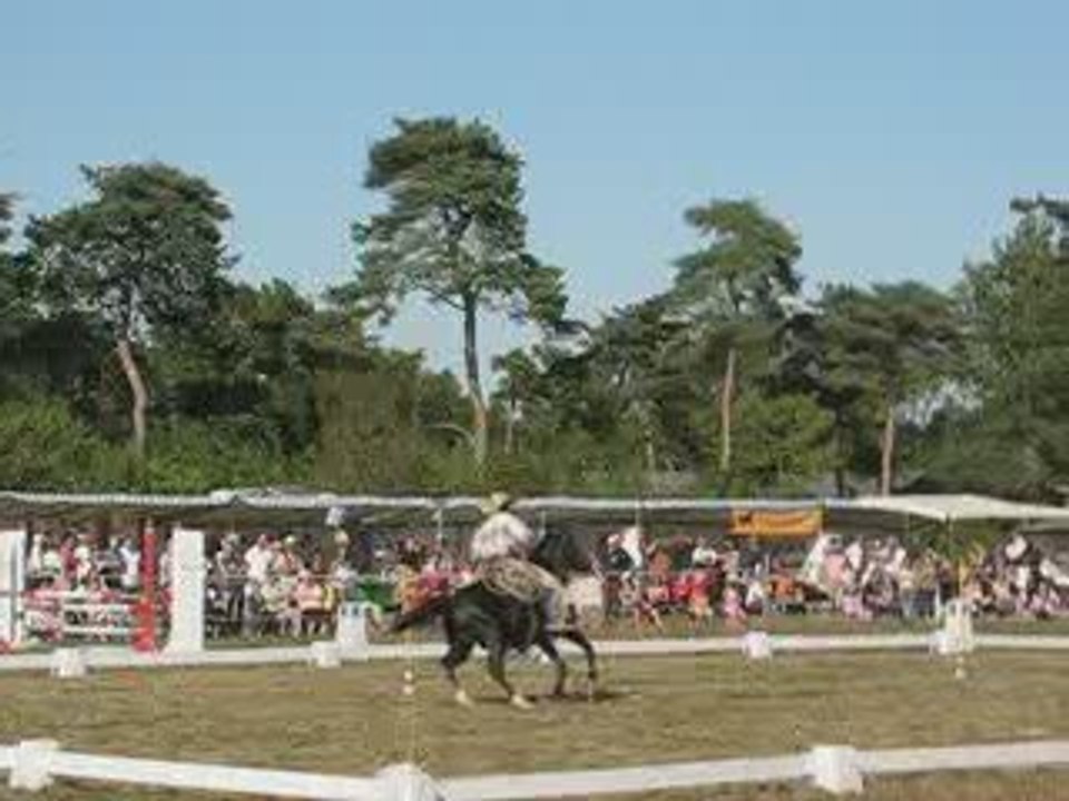 Vigneux : fête du cheval 2009