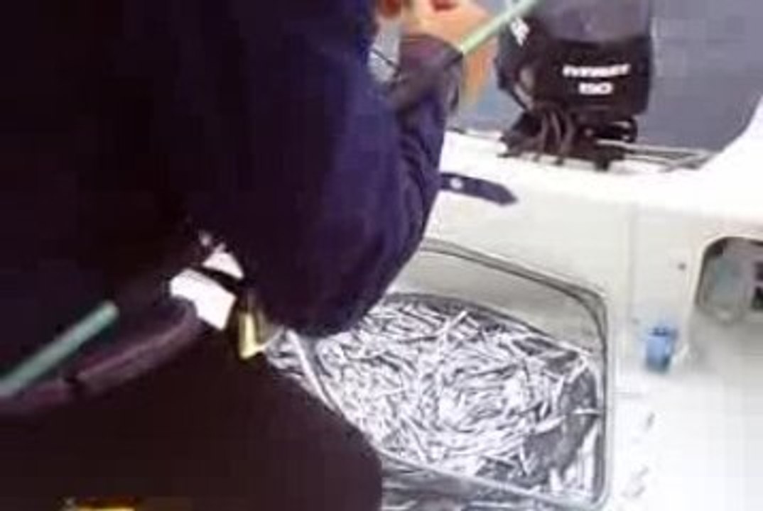 peche d anchois c est facile