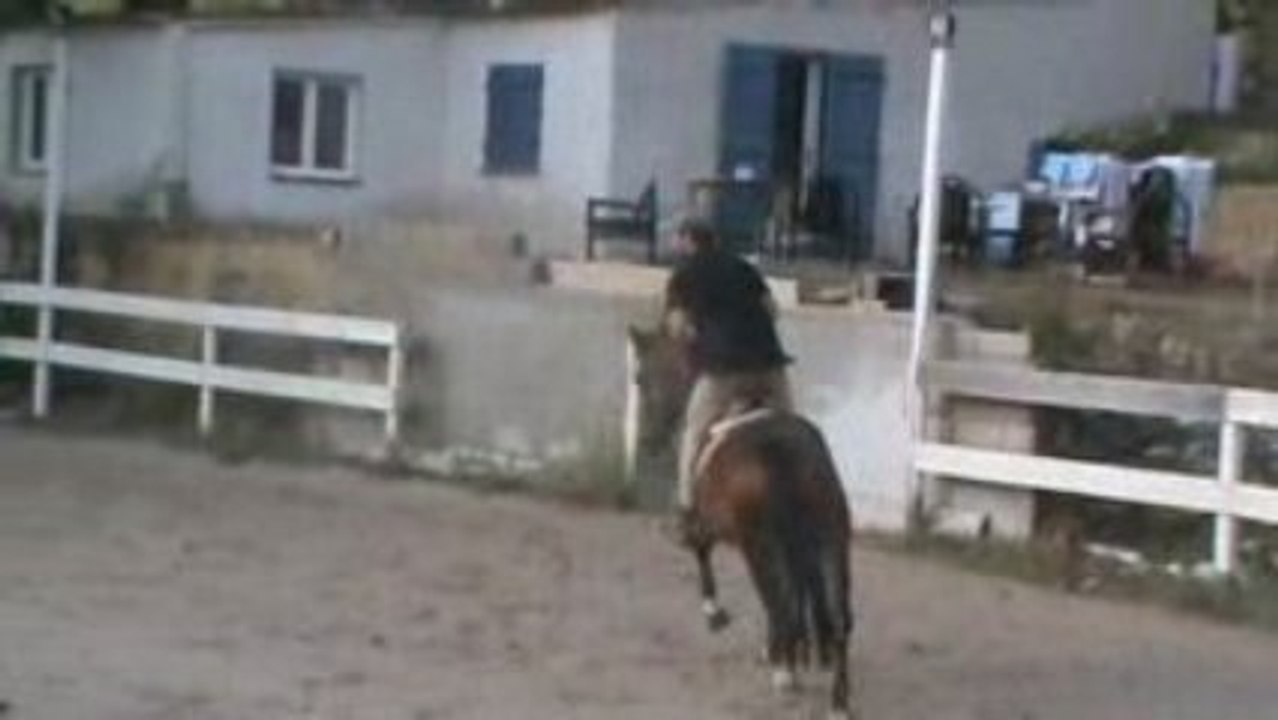 regalad