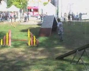 Agi - Foire aux haricots 09 - Sandrine et Artax