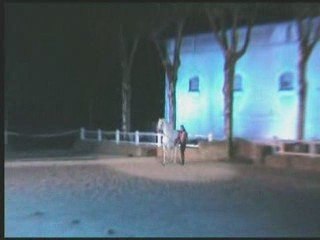 bicentenaire haras 4