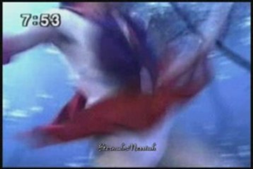 Anything Goes - Tribute to the Sailor Moon Anime and PGSM