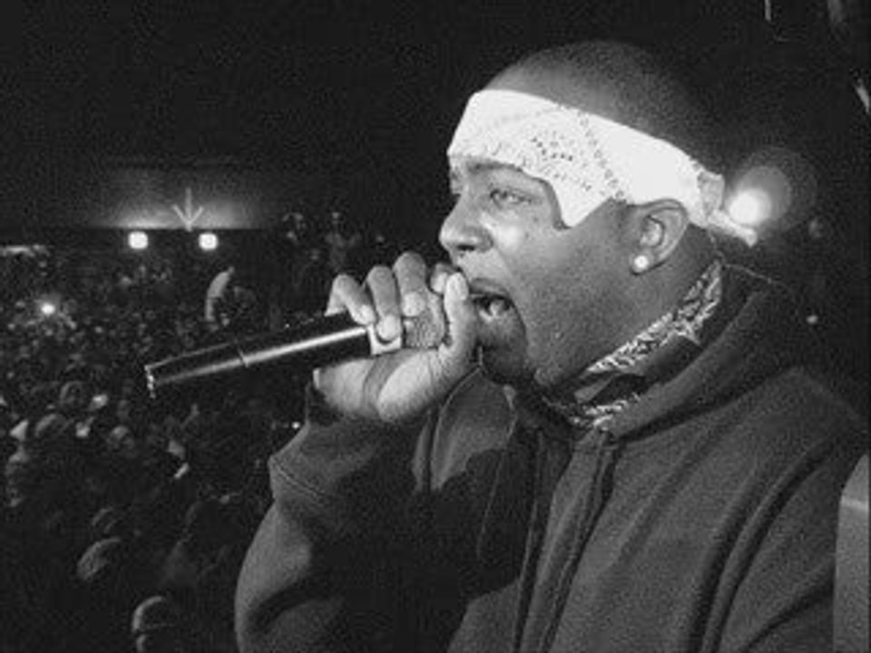 Erick Sermon - Cool (Prod. By Erick Sermon) / NEW AUDIO