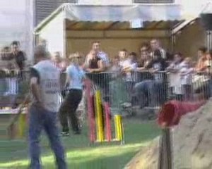 Agi - Foire aux haricots 09 - Carole et Dexter