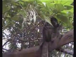 ZoO de St Jean Cap Ferrat