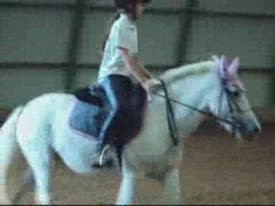 Puissance poney