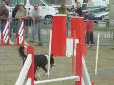 Angel Jump Trèbes 09