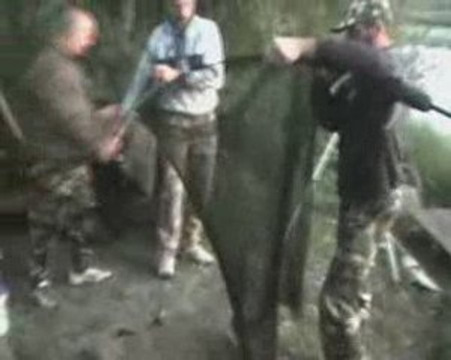 montage de passion-de-la-carpe-du80