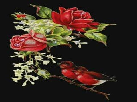 cavit karabey-Adını hasret koydum