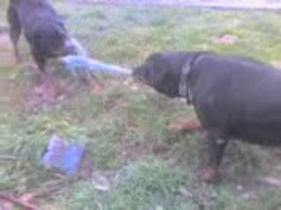 lennox et xena
