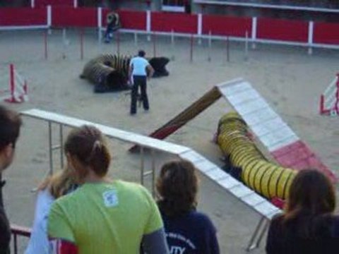 Ducky 1er concours Cabrières sept. 2009