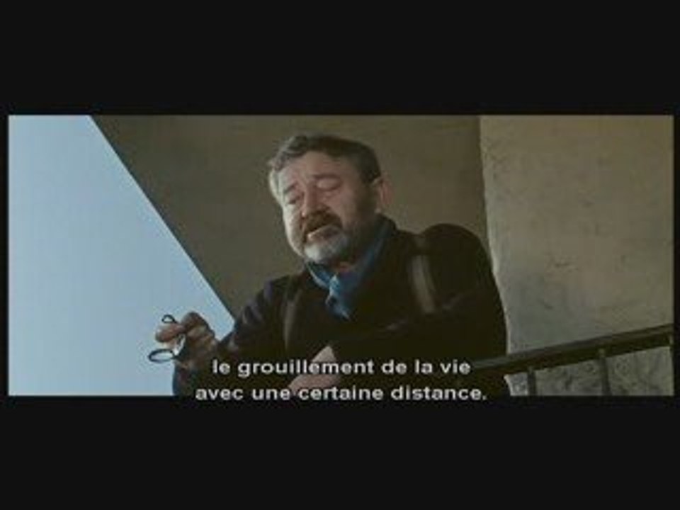 Un Jour Un Chat