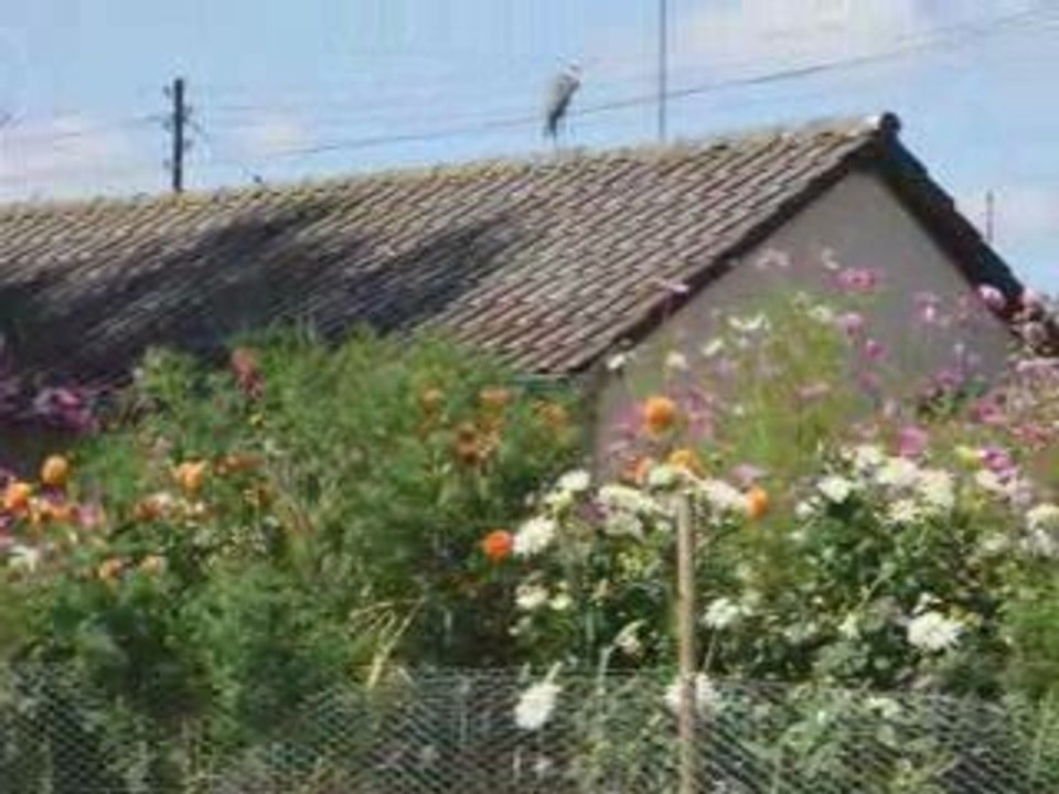 Un jour de l'été 2009