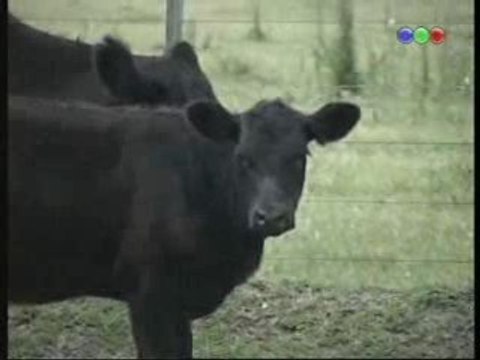 2/3 Cambio climático: deforestación, sequía...