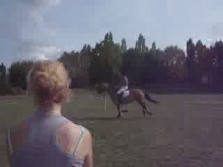 Fête du cheval avec la plus belle