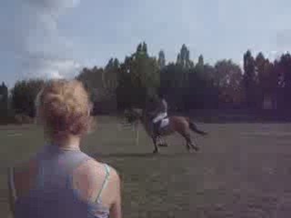 Fête du cheval avec la plus belle