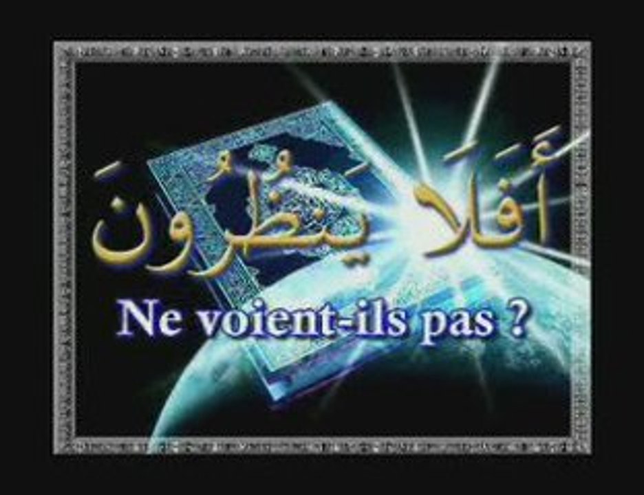 Ne voient-il pas part 1