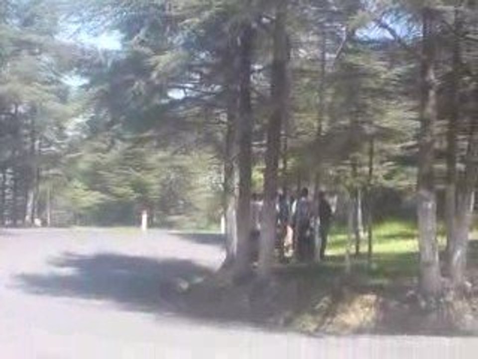 algerie course de cote de chrea 2009