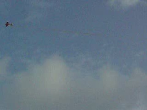 rcplanes EDGE 540T (screamin streamers)