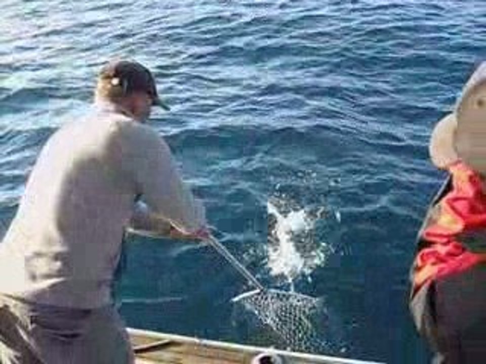 Pêche au Denti