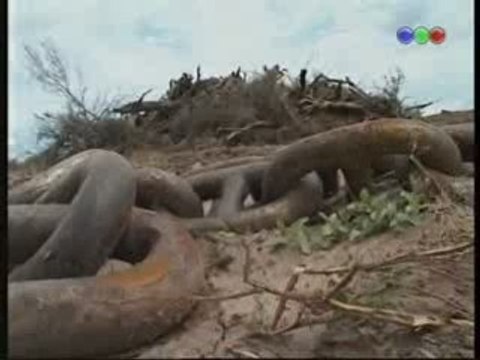 3/3 Cambio climático: deforestación, sequía...