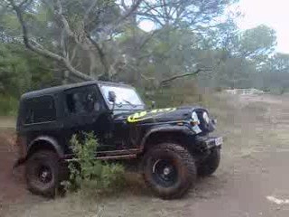 petite ballade en forêt avec smego.....