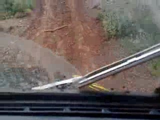 petite ballade en forêt avec smego.....2